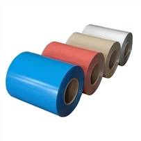 Acciaio rivestito di colore PPGL